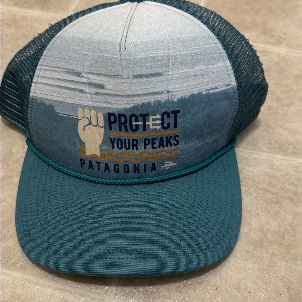 Patagonia Blue and Gray Trucker Hat